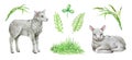 Cute lamb hand drawn illustration set. Cute little newborn sheep, green grass, fern, leaves. Domestic farm baby animal Royalty Free Stock Photo