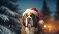 A cute large St. Bernard dog looking into the camera and wearing Santa Claus\' hat. Snow is falling from the sky.