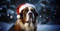 A cute large St. Bernard dog wearing Santa Claus\' hat. Snow is falling from the sky in front of a dark forest.