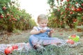 Cute laughing baby girl playing smart phone sitting in the pomegrate fruit garden on the sunset. Sunset light. soft selective focu Royalty Free Stock Photo