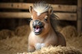 cute laughing horse with twitching muzzle and fur on body