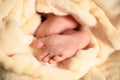 Legs Of Newborn Baby In Plaid Close Up Royalty Free Stock Photo