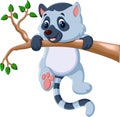 Cute lemur cartoon