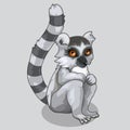 Cute lemur sits and stares brown eyes. Vector