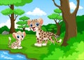 Cute Leopard cartoon in the forest Royalty Free Stock Photo