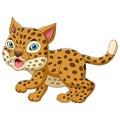 Cute leopard cartoon