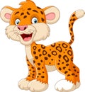 Cute leopard cartoon