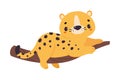 Cute Leopard or Jaguar Cub Lying on Tree Branch Vector Illustration Royalty Free Stock Photo