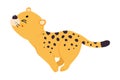 Cute Leopard or Jaguar Cub Running Fast Vector Illustration Royalty Free Stock Photo
