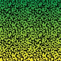 Funky Leopard Print on Gradient Background