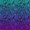 Funky Leopard Print on Gradient Background