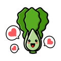 Cute lettuce cartoon mascot character