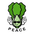 Cute lettuce cartoon mascot character