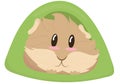 Cute light beige shaggy guinea pig in a green house tent, cute home rodent, vector illustration Royalty Free Stock Photo