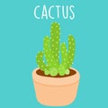 Cute light green cactus in a pot Royalty Free Stock Photo