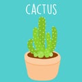 Cute light green cactus in a pot