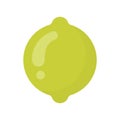 Cute lime exotic fruit, isolated colorful vector icon