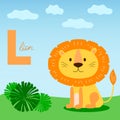 Cute lion in cartoon style with letter L and lion sign. Bright orange and yellow colors. Perfect for kids. Lion on the grass with Royalty Free Stock Photo