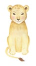 Watercolor Lion Cub Illustration Royalty Free Stock Photo