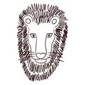 Cute lion face hand drawn illustration, sketch. Royalty Free Stock Photo