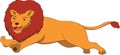 Cute Lion Jumping Long Color Illustration