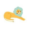 Cute lion. Jungle lion with blue mane Wild cat. Wildlife animals. Cartoon lion isolated graphic element.