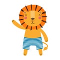 Cute lion in shorts, swimming trunks cartoon character illustration. Royalty Free Stock Photo