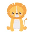 Cute lion sitting animal cartoon isolated white background design Royalty Free Stock Photo