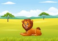 Cute lion sitting in jungle