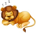 Cute Lion Sleeping Alone