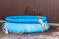 Cute little adorable caucasian blond toddler boy looking into inflatable blue pool enjoy playing with toy fishing rod at