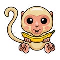 Cute little albino monkey cartoon holding a banana