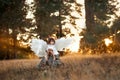 Cute little angel girl in white clothes, dress and wings, sits on a stump where the light of sunset, the sun& x27;s rays in Royalty Free Stock Photo