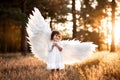 Cute little angel girl in white clothes, dress and wings, standing where the light of sunset, the sun& x27;s rays in the Royalty Free Stock Photo