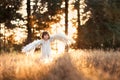 Cute little angel girl in white clothes, dress and wings, standing where the light of sunset, the sun& x27;s rays in the Royalty Free Stock Photo