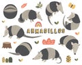 Cute Little Armadillos Collections Set II