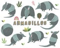 Cute Little Armadillos Collections Set Royalty Free Stock Photo