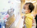 Cute little Asian baby girl wearing face mask looks at fish in a fish tank. COVID-19 concept Royalty Free Stock Photo