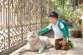 Cute Little Asian Boy Child Playing And Patting With His Siberian Husky Dog At Home, Kid With Pet