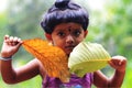 Cute little asian girl child plays with leaves