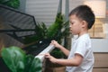 Cute little Asian kid boy concentrate on playing piano at home, Preschool child having fun with learning to play music instrument Royalty Free Stock Photo