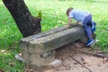 Cute little Asian 18 months / 1 year old toddler baby boy child walking on balance beam in the park on nature in summer, Royalty Free Stock Photo