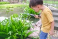 Asian 3 - 4 years old toddler baby boy child exploring environment by looking through a magnifying glass in sunny day at beautiful