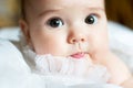 Cute little baby Royalty Free Stock Photo