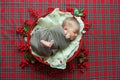 Cute little baby boy in a Christmas basket decorated with pine needles and red berries Royalty Free Stock Photo