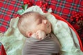 Cute little baby boy in a Christmas basket decorated with pine needles and red berries Royalty Free Stock Photo