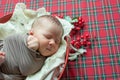 Cute little baby boy  in a Christmas basket decorated with pine needles and red berries Royalty Free Stock Photo