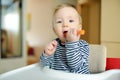 Cute little baby boy eating carrot sitting in a white highchair. Introducing first solid foods. Fresh vegetables for infants. Royalty Free Stock Photo