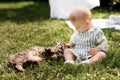 Cute little baby boy sitting on white blanket on green grass in summer, on a Sunny day, playing with a cat. Selective Royalty Free Stock Photo
