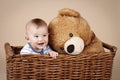 Cute little baby boy sitting in the wicker basket with big plush teddy bear Royalty Free Stock Photo